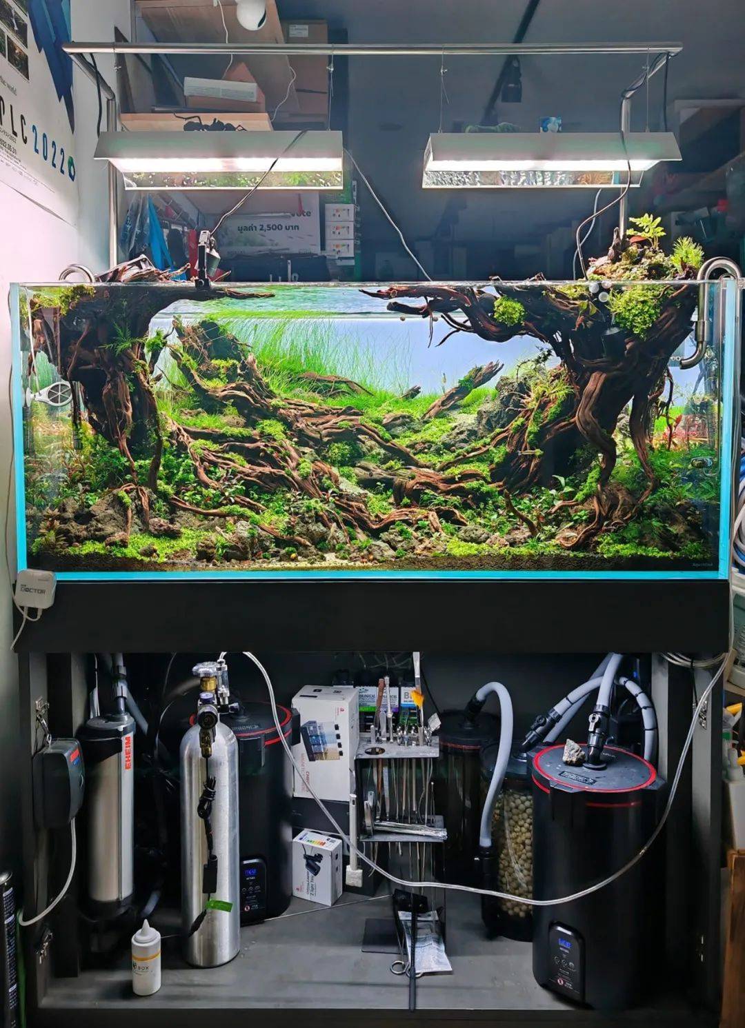 水族箱造景比赛 艺术与生态的完美融合