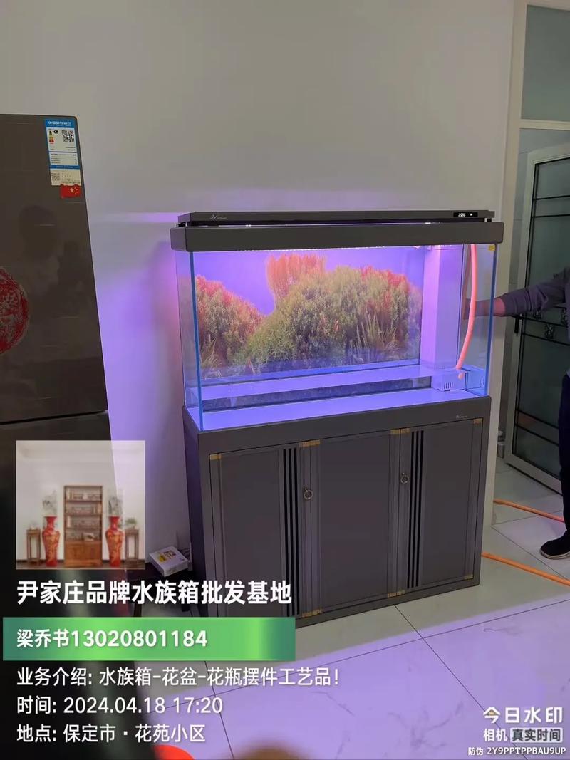 定州市南城区尹家庄品牌水族箱 专业批发服务