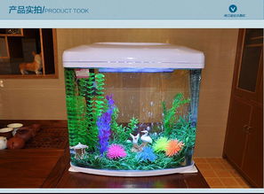 创意生活新体验 闽江宝来金钻小型超白玻璃水族箱