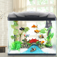 茉写与米妮宠物日用 为爱宠打造理想的水族家园