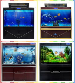 邯郸水族箱批发市场全攻略 从入门到精通